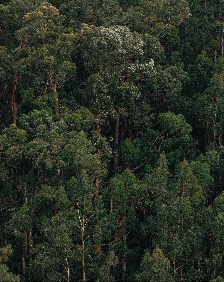 Documentary Studio UK 27 Portugal award winning documentary still 11 e1765548664178