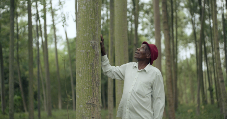 Screenshot 2025 06 20 at 14.14.48