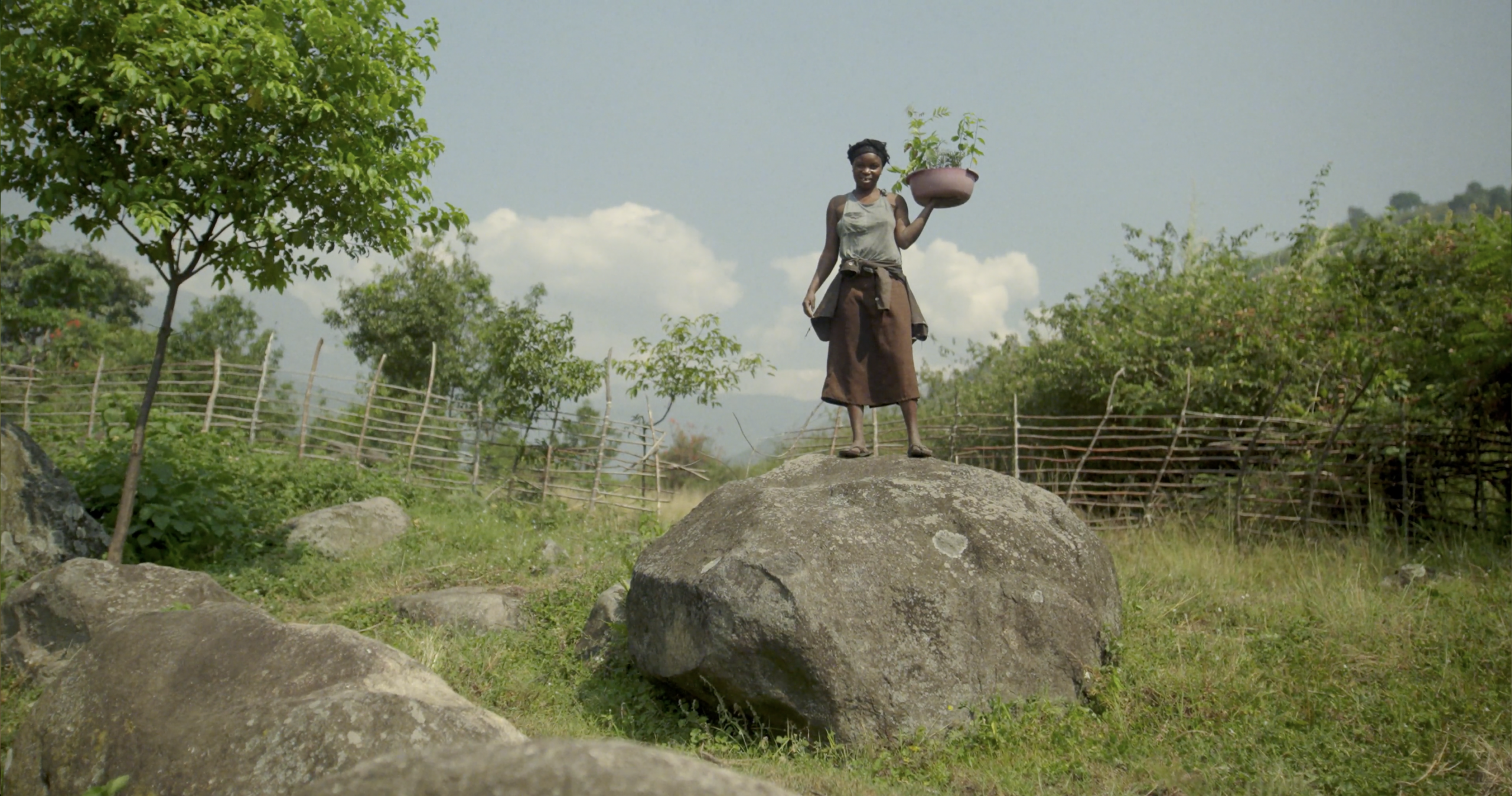 Screenshot 2025 06 20 at 14.15.09