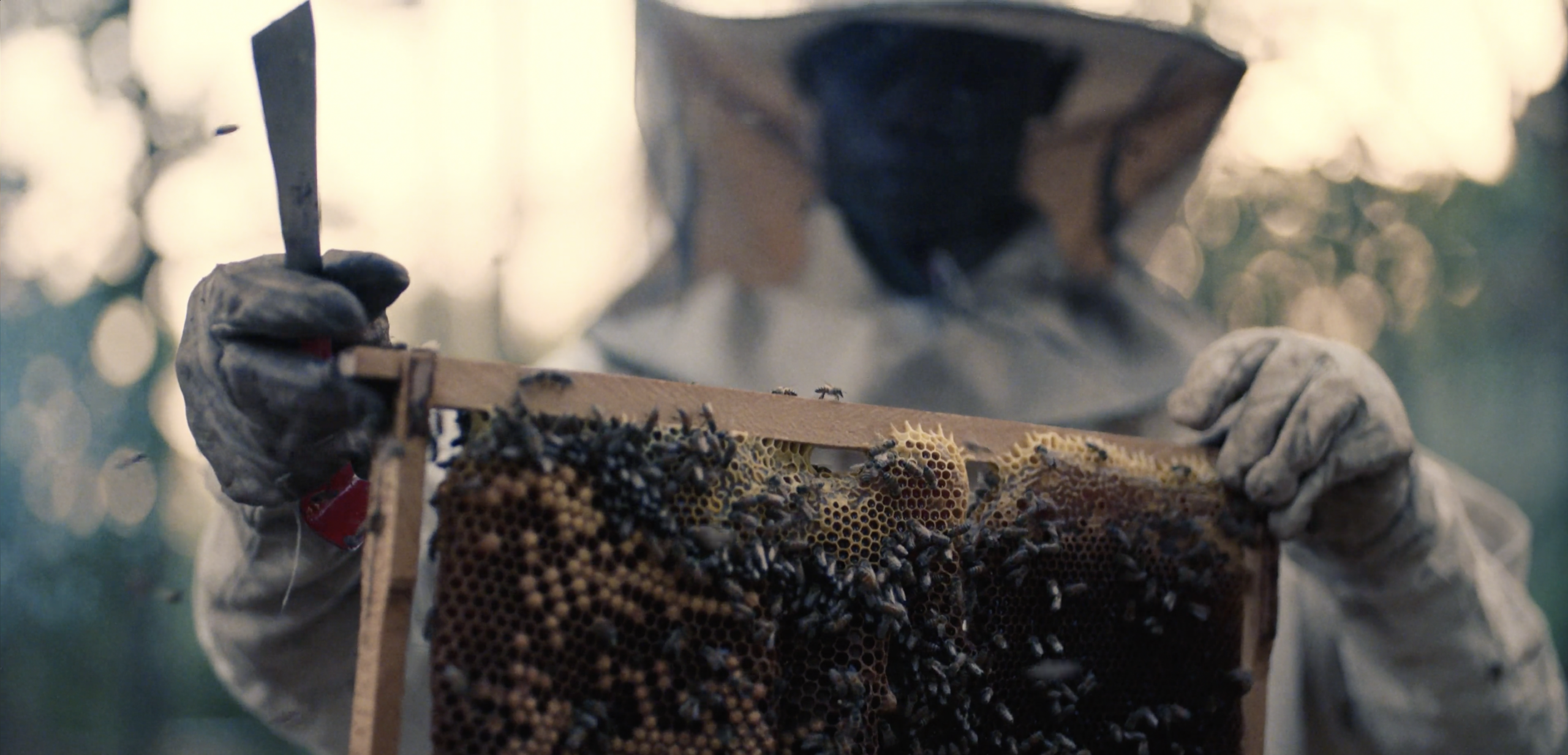 A bee keeper in Uganda harvesting honey. Taking during our work as a documentary studio in London.