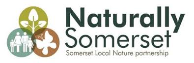 Documentary Studio UK 24 The New York Times Logo