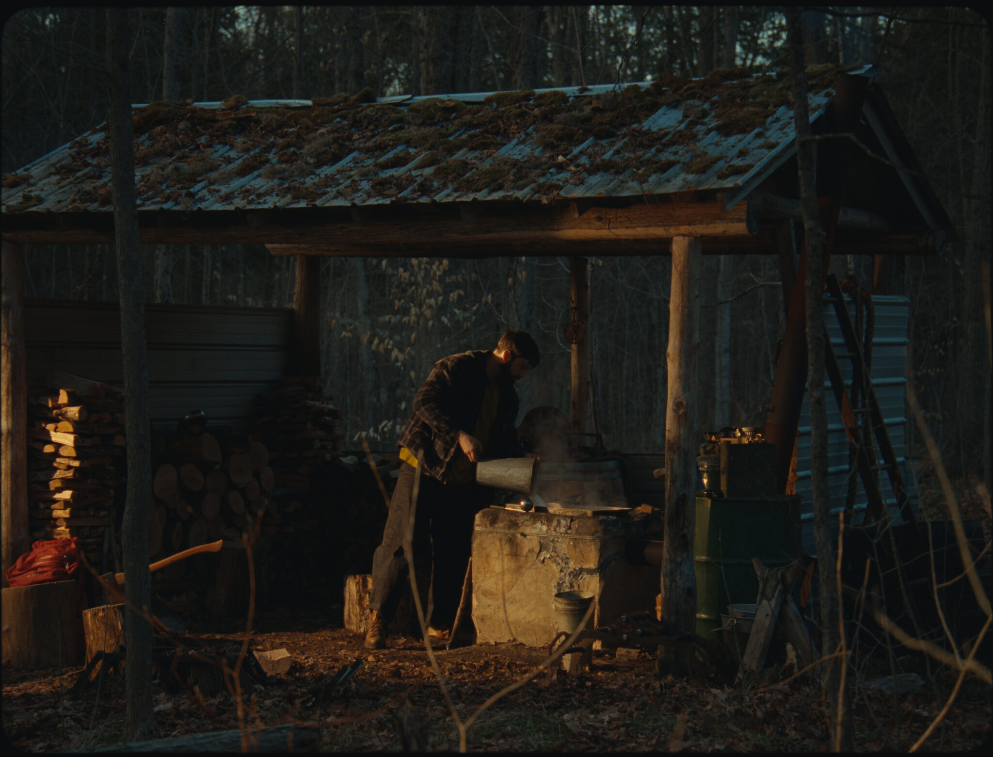 Aidan Gomez in his family's maple wood in Ontario, from Cohere's AI for Empowerment