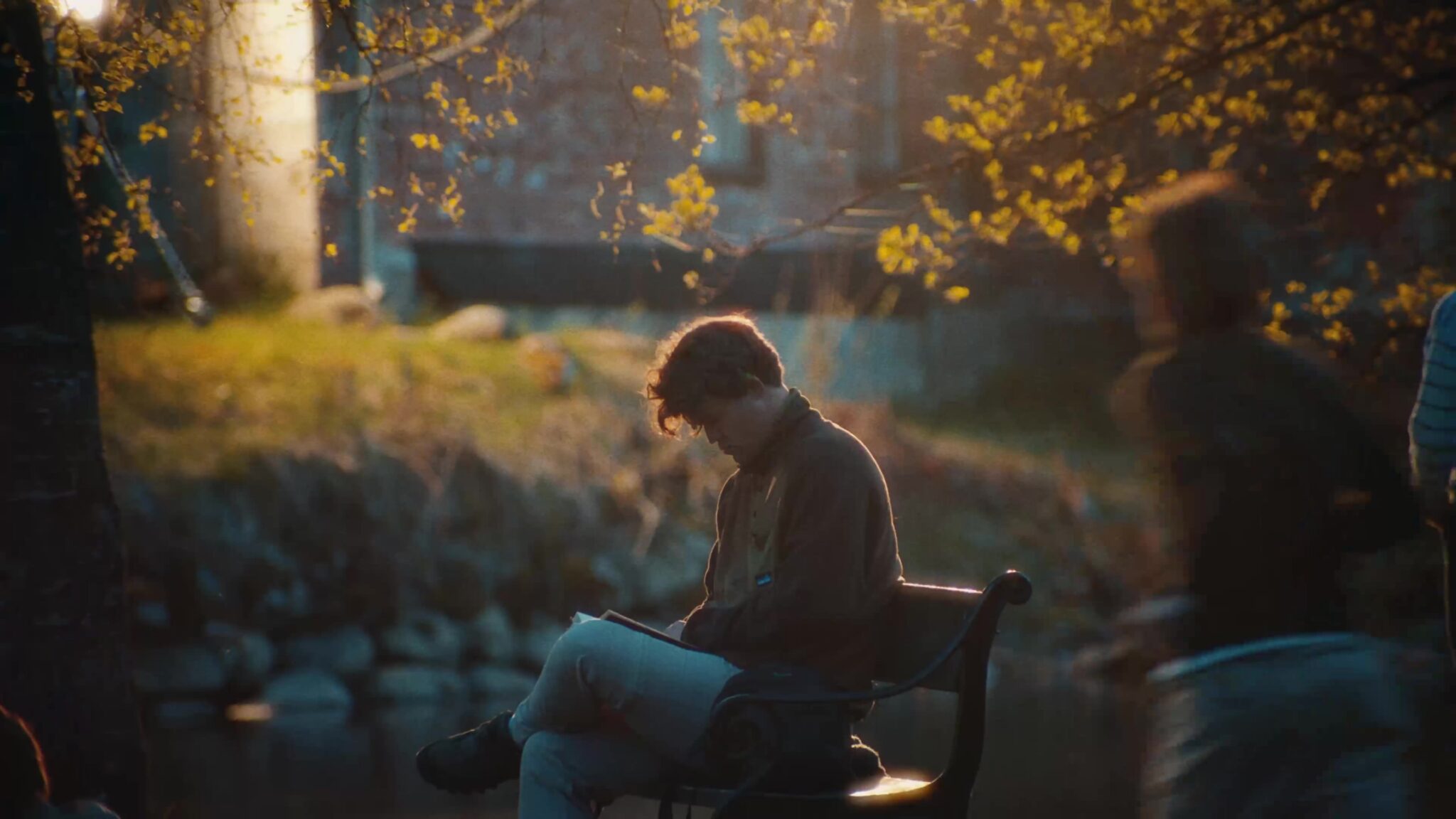 Magnus Carlsen reading on a bench in an Oslo park at golden hour, from the Cohere shoot